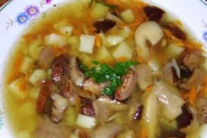 Грибной суп с ароматом леса (фото)
