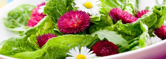 Салат с цветами - рецепт с фото
