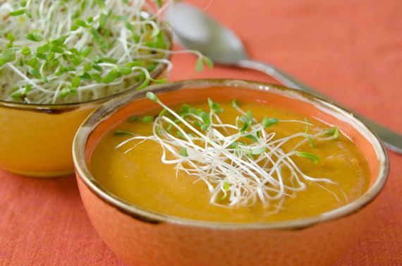 фото - Овощной крем-суп из чечевицы